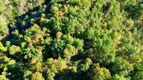 34 Clay Camp Rd # A, Grayson, KY 41143 photo 32