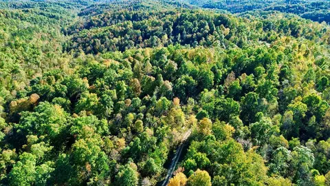 34 Clay Camp Rd # A, Grayson, KY 41143 photo 33
