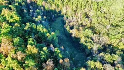 34 Clay Camp Rd # A, Grayson, KY 41143 photo 6