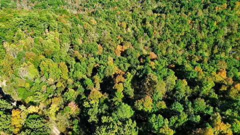 34 Clay Camp Rd # A, Grayson, KY 41143 photo 16
