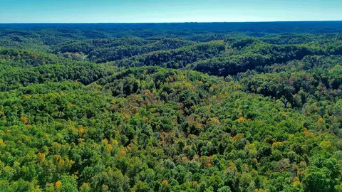 34 Clay Camp Rd # A, Grayson, KY 41143 photo 9