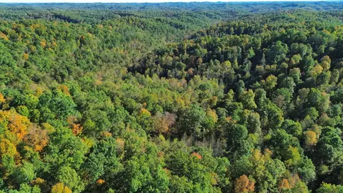 34 Clay Camp Rd # A, Grayson, KY 41143 photo 20