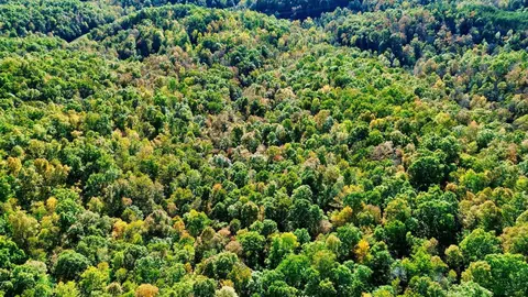 34 Clay Camp Rd # A, Grayson, KY 41143 photo 11