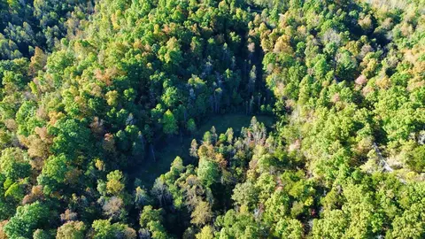 34 Clay Camp Rd # A, Grayson, KY 41143 photo 36