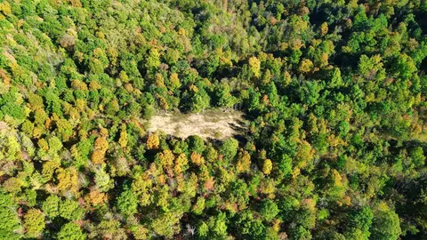34 Clay Camp Rd # A, Grayson, KY 41143 photo 27