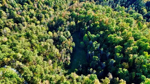 34 Clay Camp Rd # A, Grayson, KY 41143 photo 34
