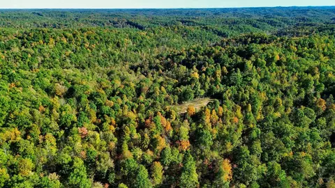 34 Clay Camp Rd # A, Grayson, KY 41143 photo 4