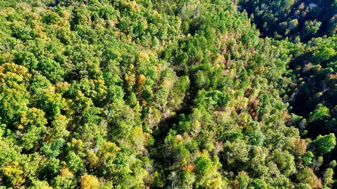 34 Clay Camp Rd # A, Grayson, KY 41143 photo 23
