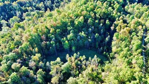 34 Clay Camp Rd # A, Grayson, KY 41143 photo 13