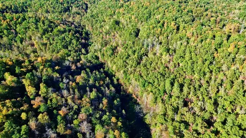 34 Clay Camp Rd # A, Grayson, KY 41143 photo 26