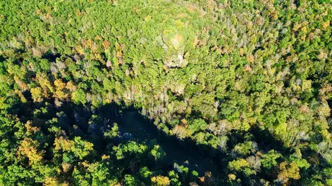 34 Clay Camp Rd # A, Grayson, KY 41143 photo 14