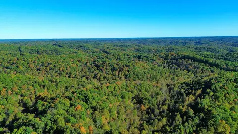 34 Clay Camp Rd # A, Grayson, KY 41143 photo 17