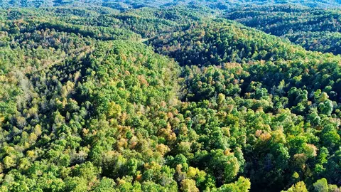 34 Clay Camp Rd # A, Grayson, KY 41143 photo 8