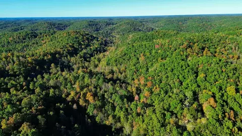 34 Clay Camp Rd # A, Grayson, KY 41143 photo 35