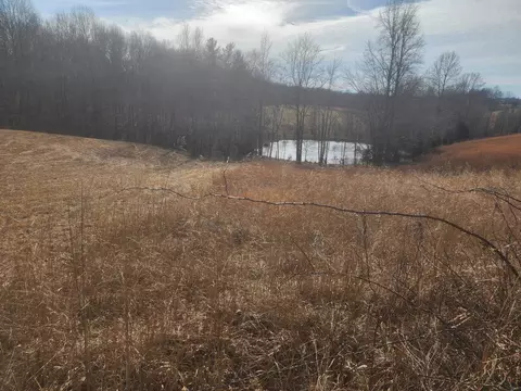 Tract 2 Vine Hill Road, Beaver Dam, KY 42320