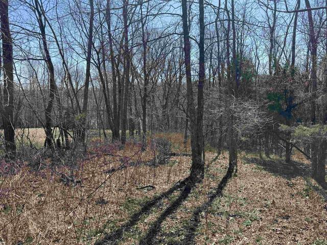 lot1 Landings Ct, Other, KY 40078