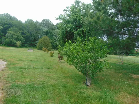Other - 404 J Carroll Rd, Bee Spring, KY 42207 photo 4 of 5