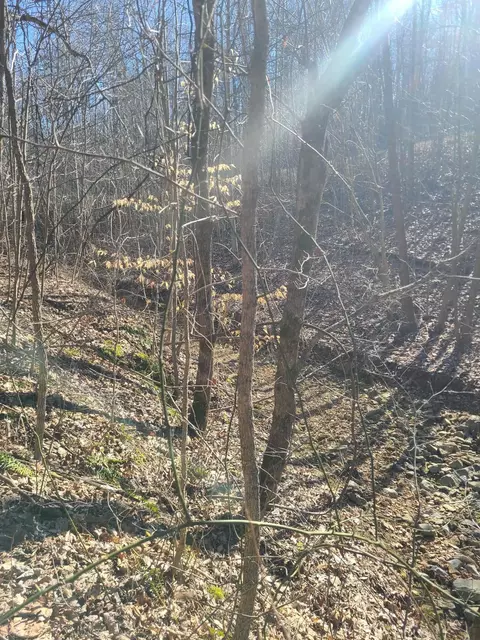 lot R19 Coppersmith Cv, Eddyville, KY 42038
