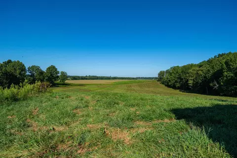 Other - 10093 Lanham Rd, Philpot, KY 42366 photo 6 of 10