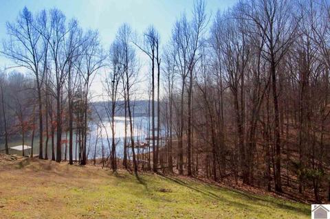 lot E Apt 37 E Cobblestone Ct, Kuttawa, KY 42055