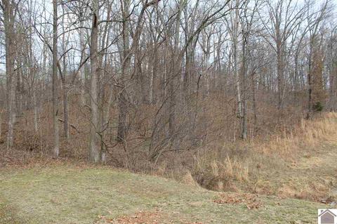 lot33 Roy Harris Rd #SHEERED COVE SUBDIVISION, Kuttawa, KY 42055