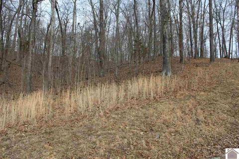 lot35 Roy Harris Rd #SHEERED COVE SUBDIVISION, Kuttawa, KY 42055