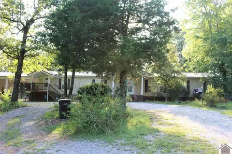115 Lowes Rd, Cunningham, KY 42035 photo 1