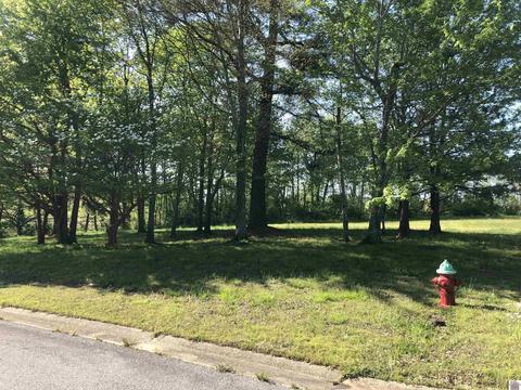 Links Ln, Mayfield, KY 42066