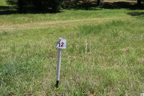 lot Apt 12 Pine View Dr, Benton, KY 42025