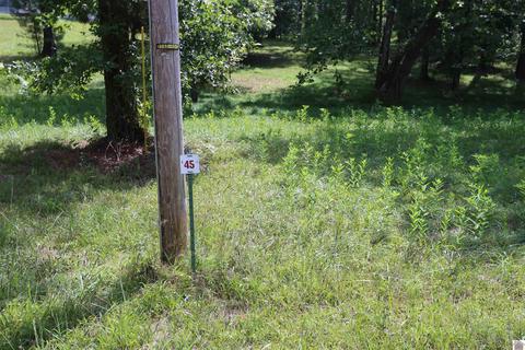 lot Apt 45 Doe Valley Dr, Benton, KY 42025