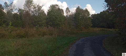 000 Mcnabb Creek Rd, Eddyville, KY 42038