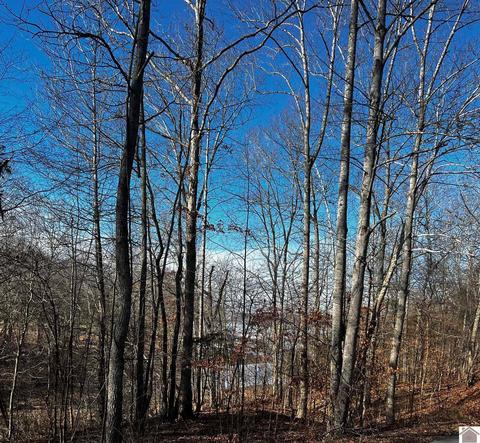lot36 Canton Heights 2 Cir, Cadiz, KY 42211
