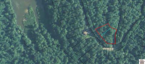 lot S 95 96 Edgar Dr #LOT S 95 & 96 BEACH BEND ESTATES, Cadiz, KY 42211