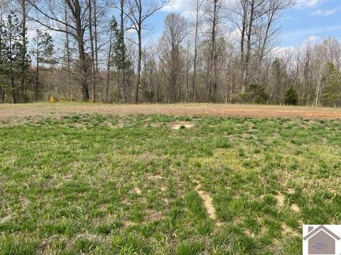 150 Low Ridge Ln, Paducah, KY 42003