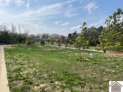 135 Low Ridge Ln, Paducah, KY 42003