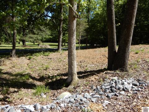 lot7 8 Roy Harris Rd #SHEERED COVE SUBDIVISION, Kuttawa, KY 42055
