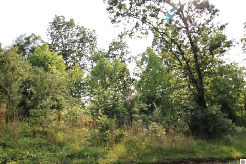 00 Paddle Wheel Rd #LOT 4, Gilbertsville, KY 42044