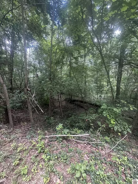 0000 Country Hills Dr, Eddyville, KY 42038
