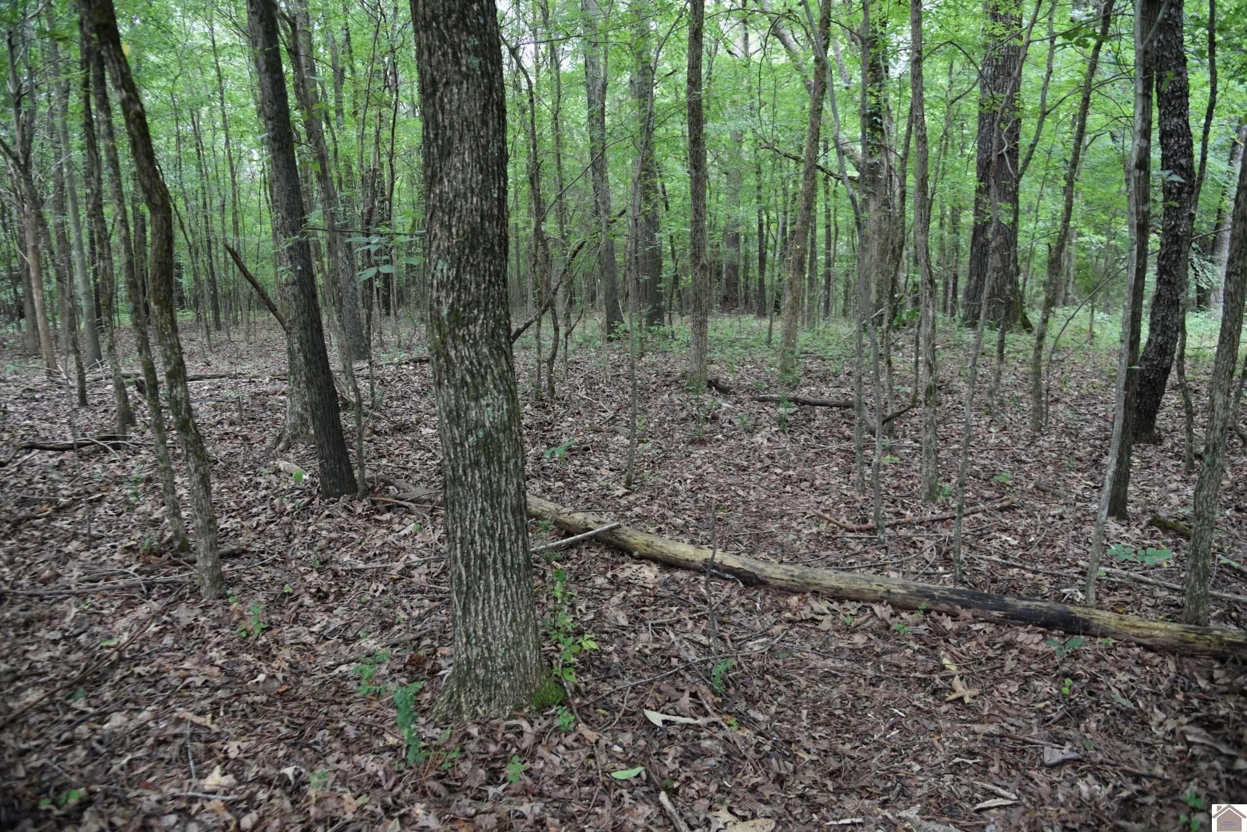 000 Beal Rd Unit (MARSHALL CO KY 5)