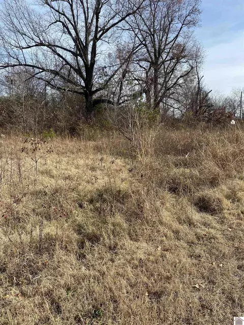 330 Grace Rd, Fulton, KY 42041