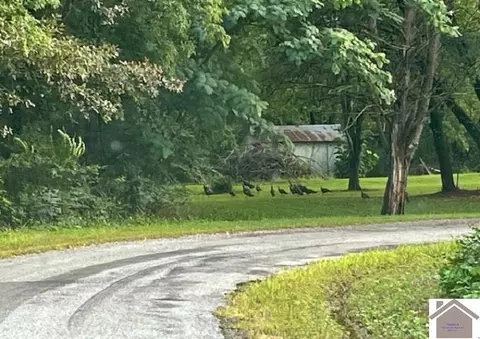 8299 State Line Rd E, Hazel, KY 42049 photo 1