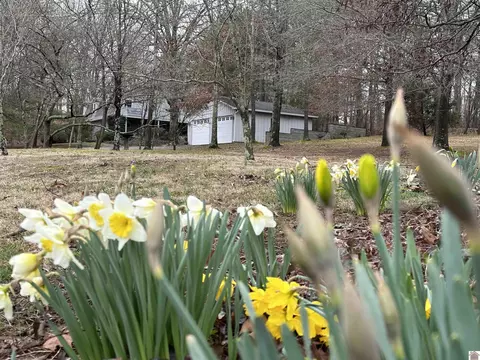 Exterior - 894 Forest Dr, Benton, KY 42025 photo 3 of 14