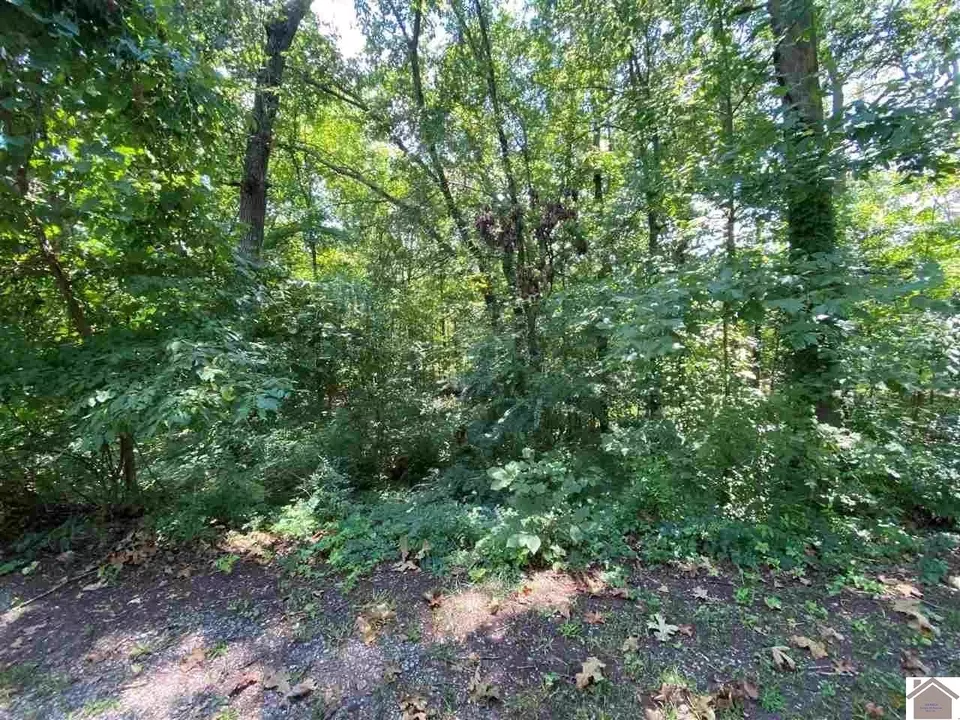  100 Ingles Rd, Hardin, KY 42048 photo 6