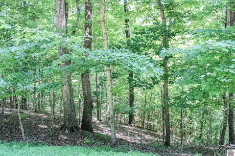 0 Algonquin Rd #0 INDIAN HILLS TRAIL, Eddyville, KY 42038