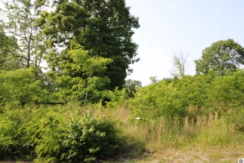 00 Lillie Ln #LOT 28, Gilbertsville, KY 42044