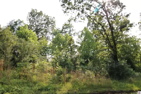 00 Paddle Wheel Rd #LOT 1, Gilbertsville, KY 42044