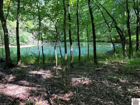 8325 John Steele Road Apt #(HENDERSON CO. KY 15.34), Other, KY 42452 photo 1