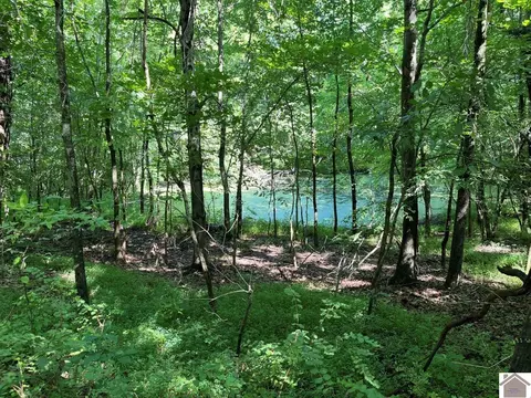 8325 John Steele Road Apt #(HENDERSON CO. KY 15.34), Other, KY 42452 photo 22