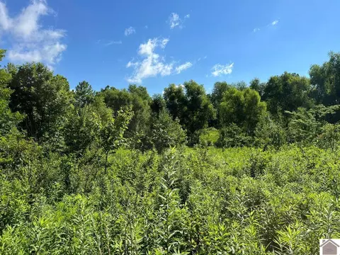 8325 John Steele Road Apt #(HENDERSON CO. KY 15.34), Other, KY 42452 photo 9