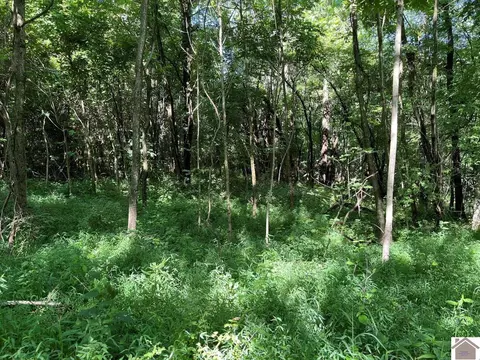 8325 John Steele Road Apt #(HENDERSON CO. KY 15.34), Other, KY 42452 photo 3